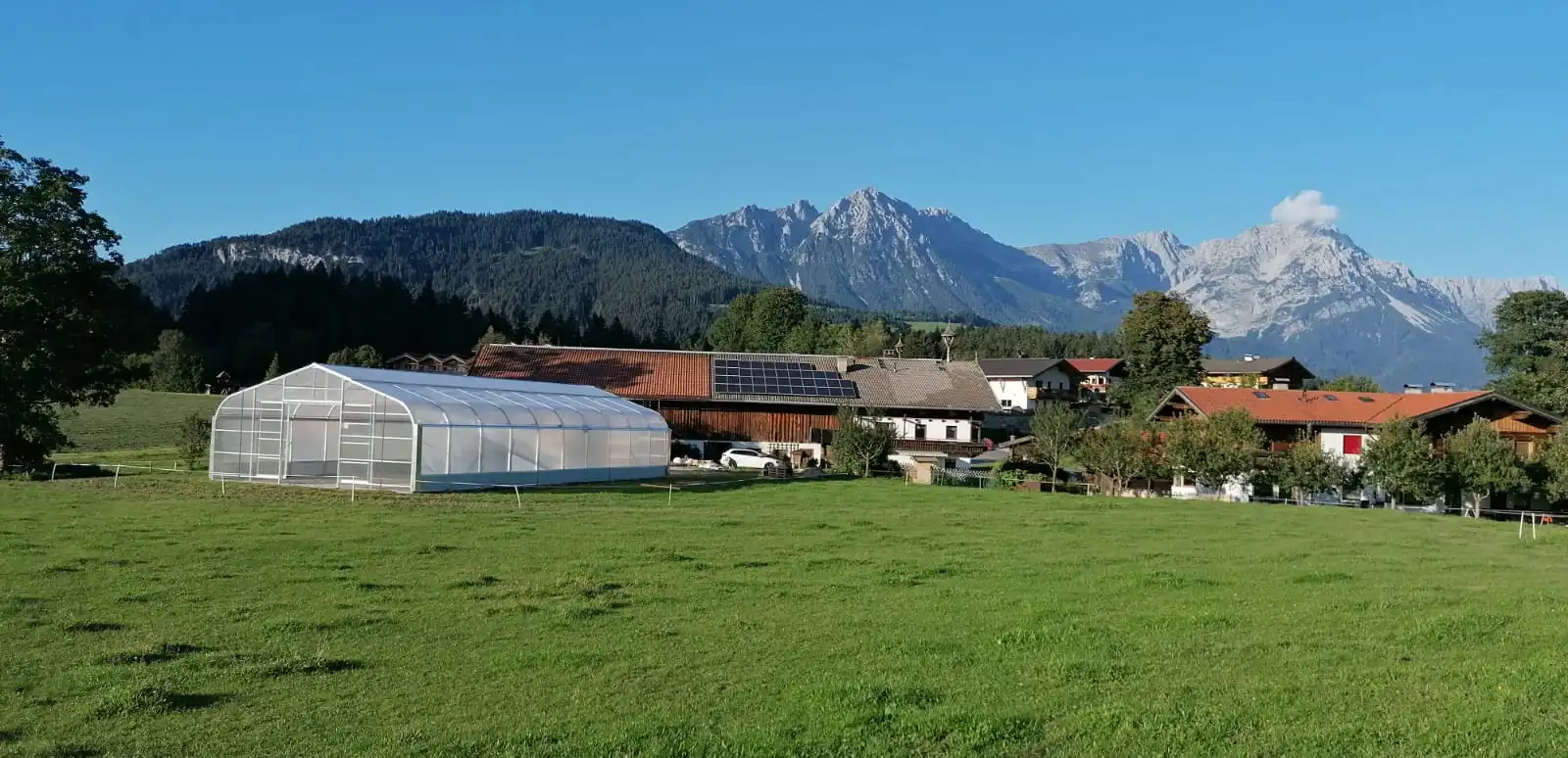 Gewächshaus Montage 1